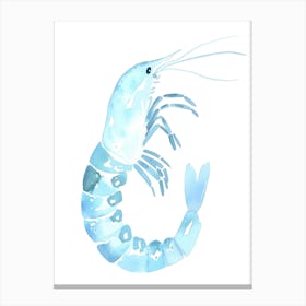 Watercolor Shrimp Illustration 1 Canvas Print