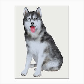 Husky Dog Canvas Print