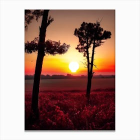 Sunset In The Field 20 Canvas Print