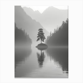 Lone Tree In The Mist Canvas Print