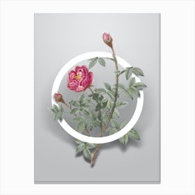 Vintage Moss Rose Minimalist Botanical Geometric Circle on Soft Gray n.0076 Canvas Print