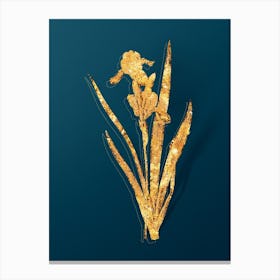 Vintage Tall Bearded Iris Botanical in Gold on Teal Blue n.0205 Canvas Print