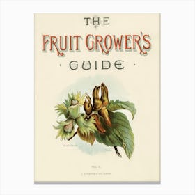 Vintage Illustrations Of Fruits, John Wright Canvas Print