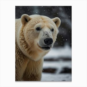 Polar Bear 6 Canvas Print