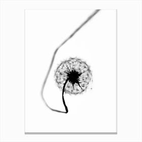 Dandelion - Simplicity Canvas Print