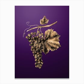Gold Botanical Berzemina Grape on Royal Purple n.3470 Canvas Print