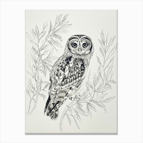 Collared Scops Owl Drawing 4 Canvas Print