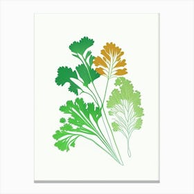 Parsley Spices And Herbs Minimal Line Drawing 1 Canvas Print