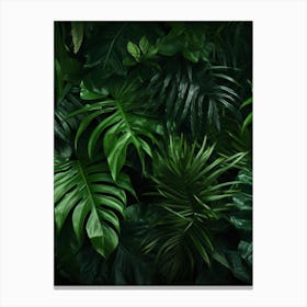 Tropical Leaves Background 2 Canvas Print