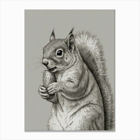 Squirrel Eating An Egg Canvas Print