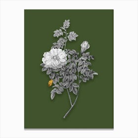 Vintage Ventenats Rose Black and White Gold Leaf Floral Art on Olive Green n.0112 Canvas Print