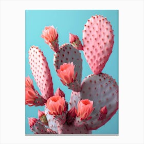 pink cactus iii Canvas Print