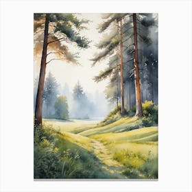 Shadows Of The Grass And Trees Canvas Print