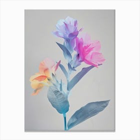 Iridescent Flower Celosia 3 Canvas Print