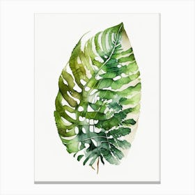 Shield Fern Watercolour Canvas Print