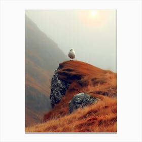 Seagull Canvas Print