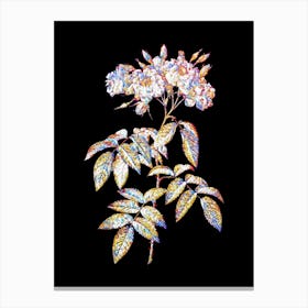 Stained Glass Musk Rose Mosaic Botanical Illustration on Black n.0203 Canvas Print