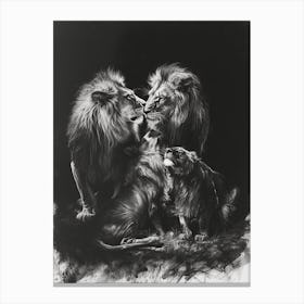 Barbary Lion Charcoal Drawing Interaction 4 Canvas Print