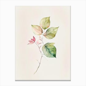 Wild Rose Leaf Minimalist Watercolour 1 Canvas Print