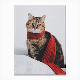 Cat Wearing A Scarf Canvas Print