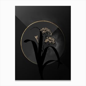 Shadowy Vintage Iris Fimbriata Botanical in Black and Gold n.0182 Canvas Print