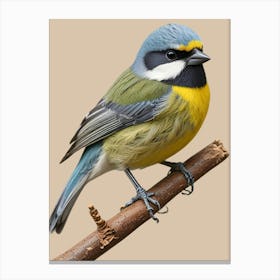 The Tit On A Branch Canvas Print