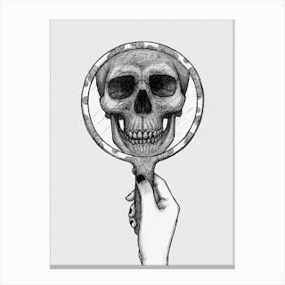 Skull In The Mirror Canvas Print
