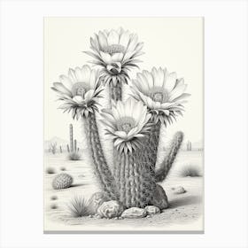 Vintage Cactus Illustration Ferocactus Cactus B&W Canvas Print