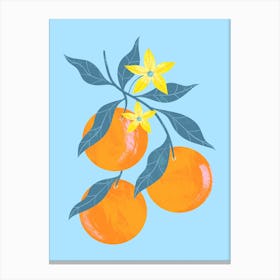 Oranges On A Branch Canvas Print