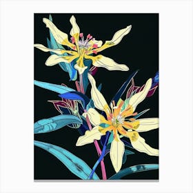 Neon Flowers On Black Edelweiss 3 Canvas Print