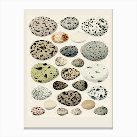 Pebbles Canvas Print