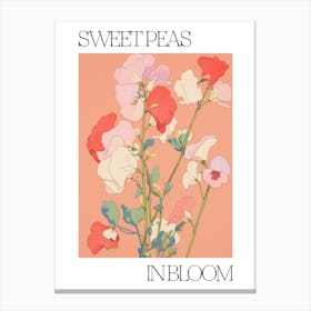 Sweet Peas In Bloom Flowers Bold Illustration 4 Canvas Print