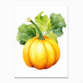 Acorn Squash Pumpkin Watercolour Illustration 2 Canvas Print
