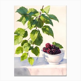 Black Raspberry Italian Watercolour fruit Canvas Print