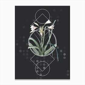 Vintage Malgas Lily Botanical with Geometric Line Motif and Dot Pattern n.0018 Canvas Print