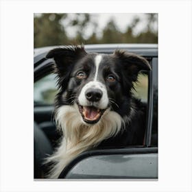 Border Collie In Car 2 Canvas Print