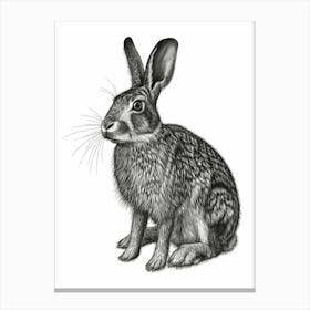 Californian Black Blockprint Rabbit Illustration 2 Canvas Print