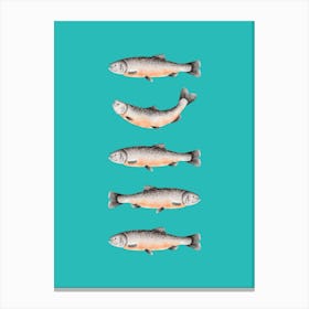 Salmon Fish Kitchen Blue Canvas Print