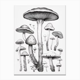 Mushroom Drawing B&W 2 Canvas Print