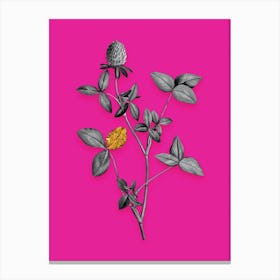 Vintage Pink Clover Black and White Gold Leaf Floral Art on Hot Pink n.0994 Canvas Print