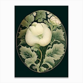 Marshmallow Herb Vintage Botanical Canvas Print