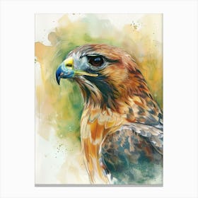 Hawk Pastel Watercolour 1 Toile