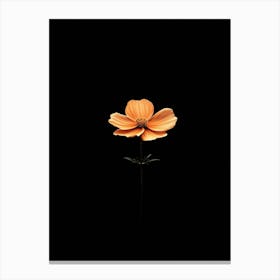 Flower On A Black Background 3 Canvas Print