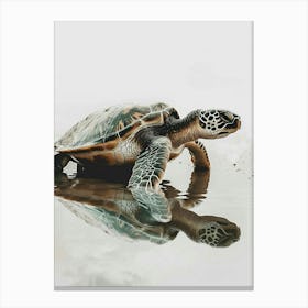 Sea Turtle Staring Into The Water Illustration 1 Canvas Print