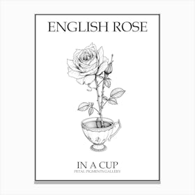 English Rose In A Cup Line Drawing 1 Poster Canvas Print