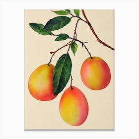 Nectarine 2 Watercolour Fruit Painting Fruit Canvas Print