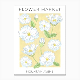 Flower Market Mountain Avens - white flowers on yellow Canvas Print