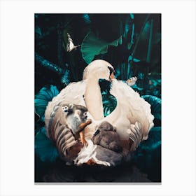 Swans Canvas Print