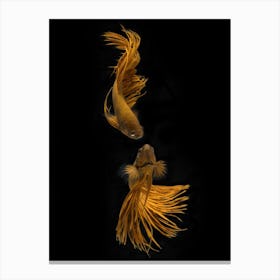 Love Story Of The Golden Fish Canvas Print