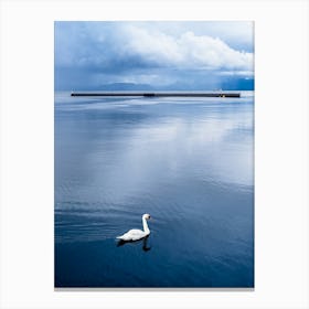 Swan In The Fjord Canvas Print